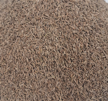 Singapore 99% purity