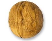 185