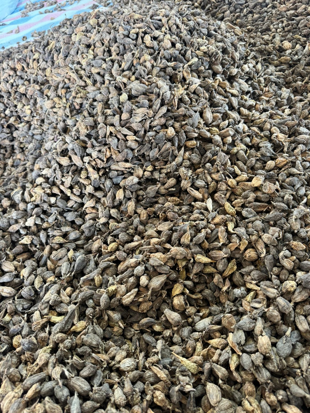 Black Cardamom Grade 2